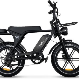 OUXI E-Bike 250W Motor Elektrofahrrad 20″ x 4.0 Fatbike Hydraulische Scheibenbremsen NFC-Entsperrung 60Nm Drehmoment Vorne & Hinten Gepäckträger