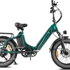 E Bike Folding Bike 20 Inch Electric Bicycles, Electric Folding Bike for Men and Women, 48 V 18 A x 2 Double Batteries, 250 W Rear Motor & 25 km/h, Hydraulic Brake, Deep Entry E-City Bike/Folding