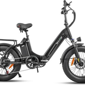 E Bike Folding Bike 20 Inch Electric Bicycles, Electric Folding Bike for Men and Women, 48 V 18 A x 2 Double Batteries, 250 W Rear Motor & 25 km/h, Hydraulic Brake, Deep Entry E-City Bike/Folding