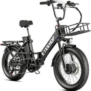 D20PRO Adult Electric Bicycle is Equipped with Single and Dual 36V 20A/42.4Ah Removable Batteries, 20 x 3.0 Inch Wide Tires, and Hydraulic Brakes