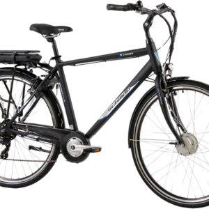 F.LLI Schiano E-Moon, E Bike für die Stadt 28 Zoll, 36V 13Ah Abnehmbarer Akku, Motor 250W 40Nm, City Ebike für Herren