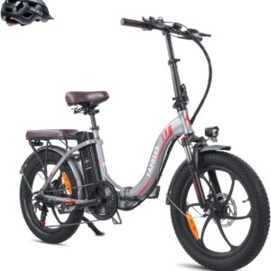 Fafrees F20 PRO E-Bike Folding Bike Electric Bicycle 20 Inch Fat Bike 250 W Motor 36 V 20 Ah Battery 20 x 3.0 Inch Mountain Bike Electric Bicycle 40 Nm