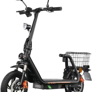 TWOFISH E Scooter with Road Legal (EEC), Electric Scooter for Adults with 48 V 13 Ah Battery, 30 km Range, Electric Scooter with 12 Inch Tyres, 3 Speeds, M5-PRO-E