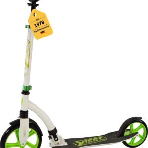 Best Sporting Scooter Adults and Children I Folding Scooter with Stand I City Scooter for Adults I Scooter with Wheel Size 250 mm I Stylish Aluminium Scooter Adults