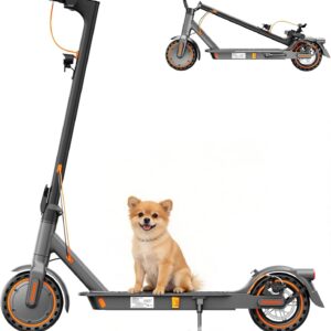E Scooter mit Straßenzulassung, 350W Motor, 20 km/h Höchstgeschwindigkeit, 35 km Reichweite, Faltbarer E-Roller für Erwachsene