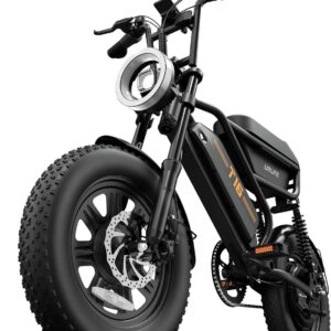 URLIFE 16 Inch x 3.0 E Bike, 48 V 13 Ah Removable Battery, 250 W Brushless Motor, 120 km Range, Electric Bicycle with Double Suspension, Lockable Storage Box for Teenagers and Adults