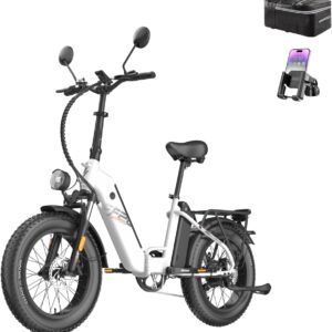 Fafrees FF20 Polar Fatbike E-Bike for Men and Women, 20 Inch Folding Bike, 48 V 12 Ah x 2 Battery, 65 N.m Motor, 150 kg Load Capacity, 170 km Range