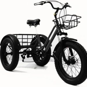 20 Inch Fat Tyre Tricycle for Adults, 7 Gears, 3 Wheels, Bicycle Tarpaulin Shopping Basket, Wider Seats, Cruiser Bicycles for Adults with Adjustable Handlebar B, 20 Inch