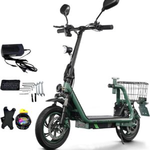 TWOFISH E Scooter with Road Legal (EEC), 12 Inch Electric Scooter with 48 V 13 Ah Battery and 30 km Range, Electric Scooter for Adults, 120 kg Load Capacity (Green)