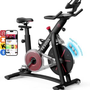 YESOUL Heimtrainer, 21,5″ FHD Indoor-Ergometer mit magnetischem Widerstand und Bildschirm-Spiegelung