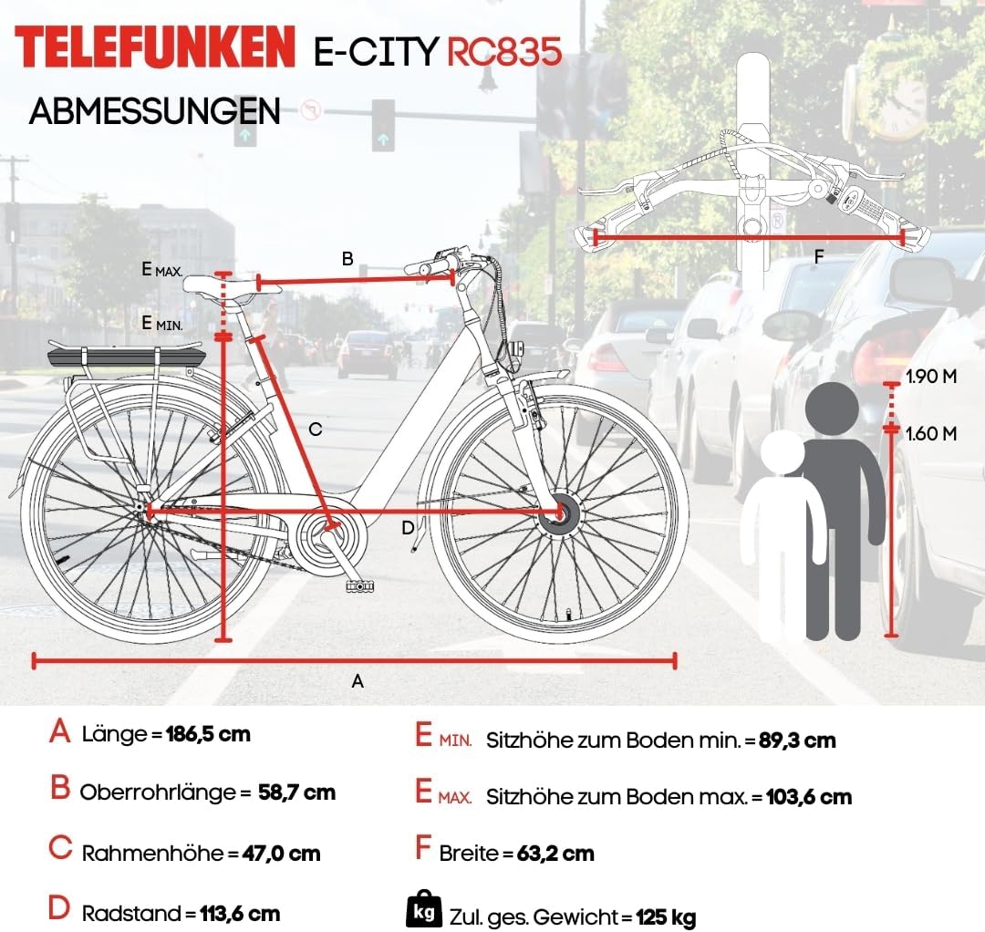 TELEFUNKEN E-Bike 28 Zoll Fahrrad für Damen & Herren | Pedelec Citybike mit 3-Gang Nabenschaltung | Rücktritt | Elektrofahrrad 250 W Frontmotor | 468 Wh Li-Ion Akku | EBike Multitalent RC835 – Bild 9