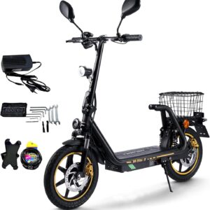 TWOFISH E Scooter with EEC Approval, 500 W Electric Scooter with 48 V 13 Ah Battery, 30 km Range, 14 Inch Tyres, Double Suspension, 3 Speeds, Electric Scooter Adult with LED Display (Black)