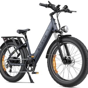 ENGWE E Bike Mountain Bike Electric Bicycles, Ebike 48 V 16 Ah Battery up to 150 km, E-Bike with 26 x 4 Inch Fat Tire, Electric Bike 250 W Motor Max. 25 km/h, E26