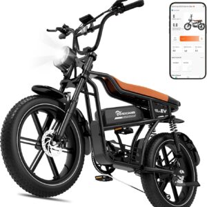 EVERCROSS Electric Bicycle for Adults, 250 W E Bike, 16 Inch x 2.0/20 Inch x 4.0 Fat Tyres, up to 25 km/H & 60-100 km Range, 36 V/48 V Removable Battery, Mountain Snow Electric Off-Road Bicycle