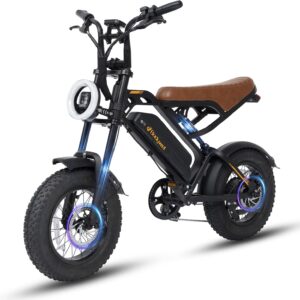 Bodywel M16 E Bike Men Women 16 x 4.0 Inch All Terrain E Fatbike City & Mountain, 48 V 13 Ah Battery, 250 W Motor, Range 80 km (PAS), LCD Display, Dual Lights, Full Suspension Electric Bicycle