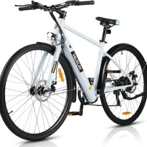 VARUN E Bike 26 Inch City E-Bike Women Men with 250 W Motor, Removable Li-ion Battery, Electric Bicycle with LED Display, 3 Riding Modes, City E-Bike with up to 30 Km