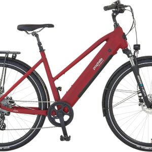 Prophete ENTDECKER 2.0 & 2.3 Trekking E-Bike 28 Inch – 250 W Rear Motor, 360 Wh Battery, 8-Speed Derailleur Gear, LCD Display, Up to 100 km Range – Various Frame Shapes & Sizes