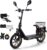TWOFISH M5 Elite E E Scooter with Road Legal, up to 30 km Range, 48 V 13 Ah Lithium Battery, Adult Electric Scooter with LED Display and Rear Carrier