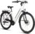 SAXXX E Bike Women’s 28 Inch Low Entry with 36 V 13 Ah Battery, Electric Bicycle Adult with Disc Brake, 7 Speed Derailleur Gear, Pedelec with Suspension Fork, Pannier Rack for Women/Men/Men