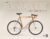 Rennradliebe: Vintage. Leidenschaft. Technik. Kult.