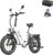 Fafrees FF20 Polar Fatbike E-Bike for Men and Women, 20 Inch Folding Bike, 48 V 12 Ah x 2 Battery, 65 N.m Motor, 150 kg Load Capacity, 170 km Range