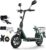 TWOFISH E Scooter with Road Legal (EEC), 12 Inch Electric Scooter with 48 V 13 Ah Battery and 30 km Range, Electric Scooter for Adults, 120 kg Load Capacity (Green)