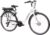 F.LLI Schiano E-Moon, E Bike für die Stadt, 36V 14.5Ah Abnehmbarer Akku, Motor 250W 40Nm, City Ebike für Herren und Damen