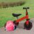 HUOLE Balance Bike for Children from 1 Year Old, Toy with 3 Wheels, for Baby Bike from 12 to 36 Months, First Bike without Pedals for Boys and Girls as Birthday Gift (Red)