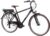 F.LLI Schiano E-Ride, E Bike Trekking 28 Zoll, 36V 10.4Ah Abnehmbarer Akku, Motor 250W 40Nm, Trekking EBike für Herren