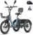 Fafrees F20 Mate II, Tricycle E-Bike Folding Bike 20 Inch Electric Tricycle 250 W 25 km/h, E Bike Loads Torque Sensor, Hydraulic Brakes, Load 180 kg