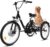 250 W Electric Tricycle for Adults and Seniors, 36 V 15 Ah Battery E-Bike with 50 km Range, Shimano 7-Speed, 24 Inch Tyres, 3 Wheel Bicycle with Basket, up to 180 kg Load Capacity