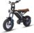 Bodywel M16 E Bike Men Women 16 x 4.0 Inch All Terrain E Fatbike City & Mountain, 48 V 13 Ah Battery, 250 W Motor, Range 80 km (PAS), LCD Display, Dual Lights, Full Suspension Electric Bicycle