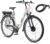 TELEFUNKEN E-Bike 28 Zoll Fahrrad für Damen & Herren | Pedelec Citybike mit 7-Gang Nabenschaltung | Elektrofahrrad 250 W Frontmotor | 468 Wh Li-Ion Akku | EBike Multitalent RC845