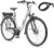TELEFUNKEN E-Bike 28 Zoll Fahrrad für Damen & Herren | Pedelec Citybike mit 3-Gang Nabenschaltung | Rücktritt | Elektrofahrrad 250 W Frontmotor | 468 Wh Li-Ion Akku | EBike Multitalent RC835